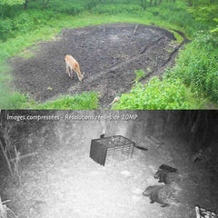 Caméra de chasse TR-91X 4G solaire