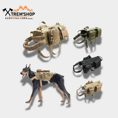 Harnais Chien 3 points