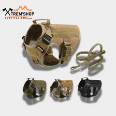 Harnais Chien avec laisse Tactique