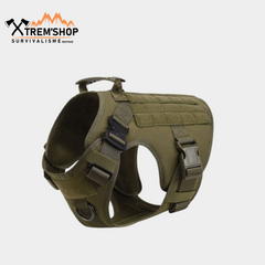 Harnais chien tactique vert