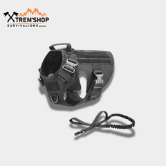 Harnais et Laisse Tactique Chien