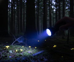 Lampe Led Lumière Bleue