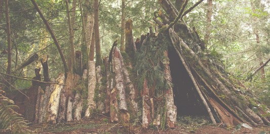 Comment survivre dans la forêt : Conseils et astuces