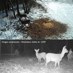 Caméra de chasse TR-81X 4G
