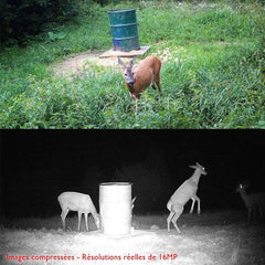 Caméra de chasse TR-90S WiFi
