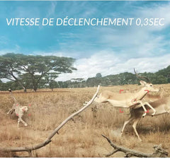 Caméra de chasse 4K TR-92S