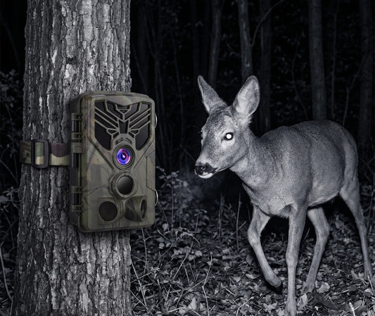 Caméra de chasse TR-80A Infrarouge invisible – vue 2
