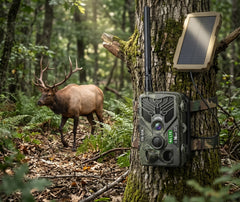 Caméra de chasse  TR-91X 4G solaire