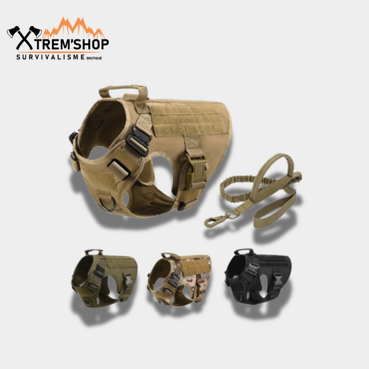 Harnais Chien Militaire – vue 2