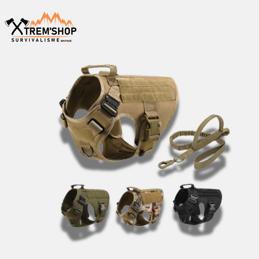 Harnais Tactique Chien de Survie – vue 2