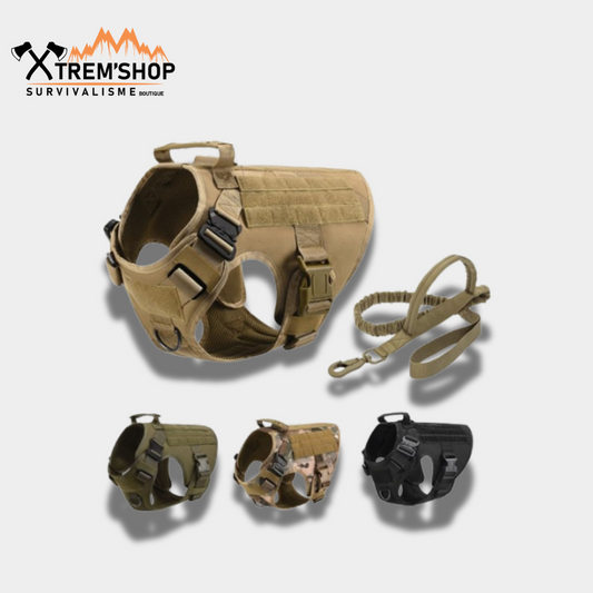 Harnais chien tactique vert – vue 2