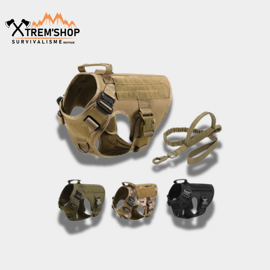 Harnais tactique pour chien – vue 2