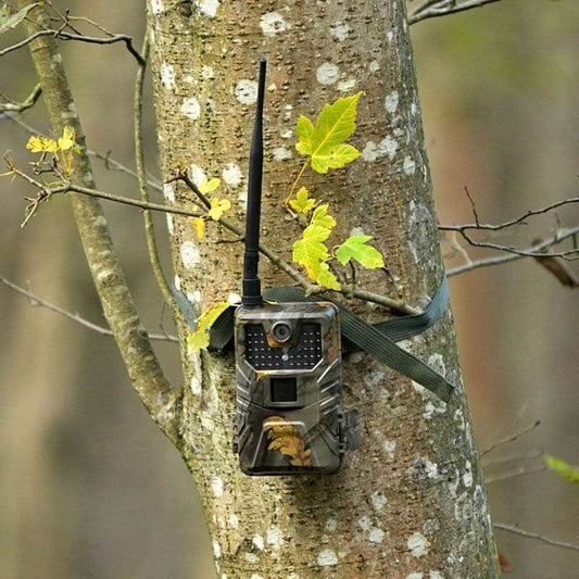 piège photographique tr-90k mms écran arrière