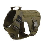 Harnais chien tactique vert - Vignette | Survivalisme-Boutique